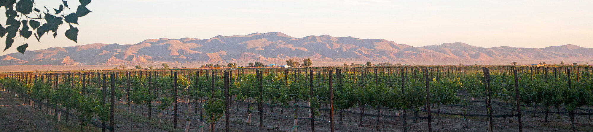 Agritourism in Nevada