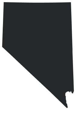 Statewide map icon
