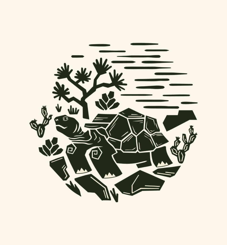 illustration of a tortoise in nevada